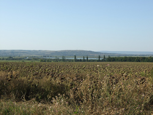 Streckenweise wurde es bereits hier hügelig